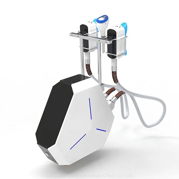 New Frozen Weight Loss 2021 New Product Frozen Fat Thawing Machine Weight Loss Slimming Machine