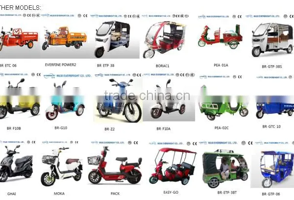 Electric Motorcycle Battery Two Wheeler photo-2