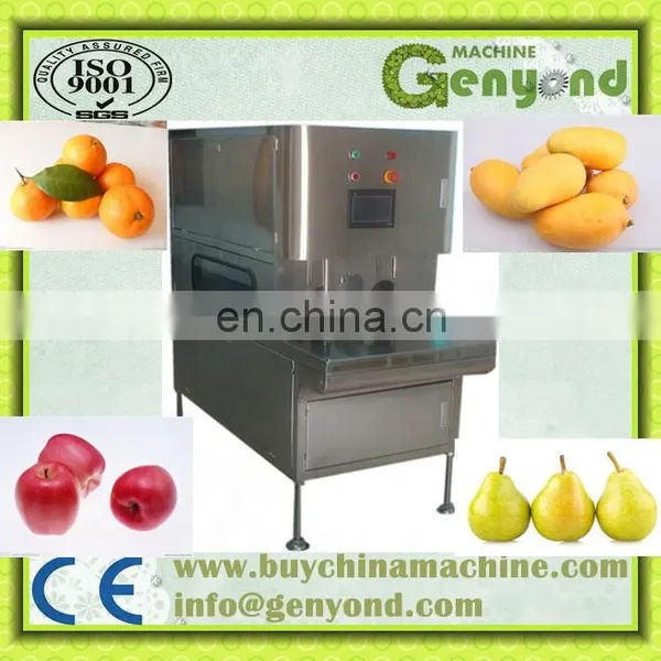 Stainless Steel Apple Persimmon Peeling Machine photo-3