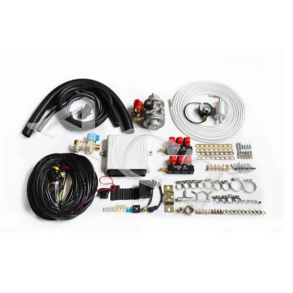 ACT Electric Carburetor Car CNG Conversion Kit Sale Carburetor Kits for Engine Parts 3rd Generation System