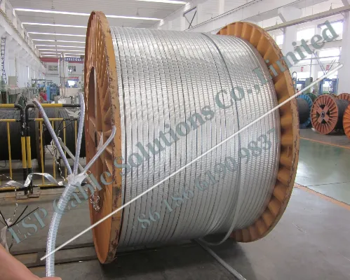 ESP Cable( Electrical Submersible Pump Cable) photo-4