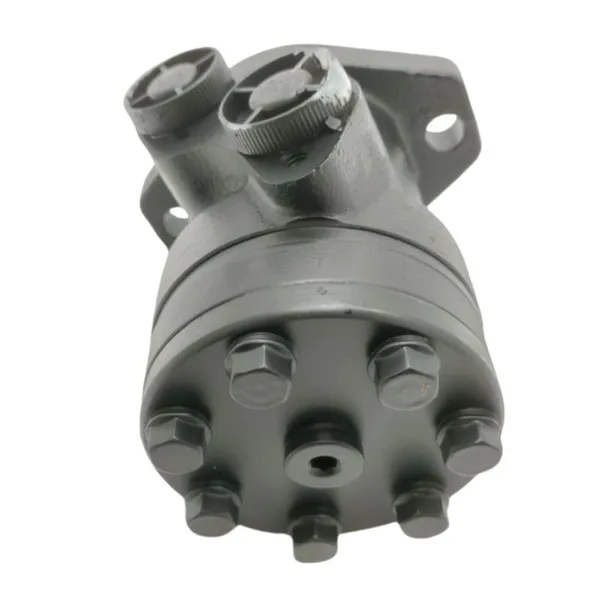 Hydraulic Motor SAUER White OMP/OMR/OMS50/80/100/160/200/250/315 OMR 160 151-0244 OMR50 151-0720 OMR160 151-0244 OMR160 151-0213 photo-5