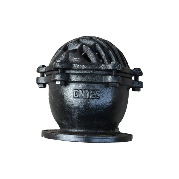 Cast Iron Check Valve BS Foot Valve With NBR Seal, Carbon Steel Disc, Corrosion Resistant Design photo-4