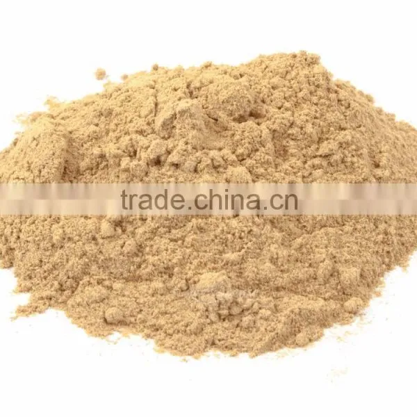 High Grade Amla Powder Bulk Producers photo-3