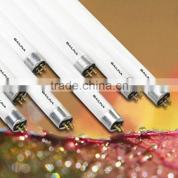 T5 Fluorescent Lamp