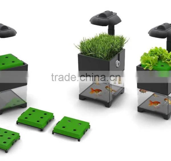 New Development Mini Aquaponics Fish Tank for Sale