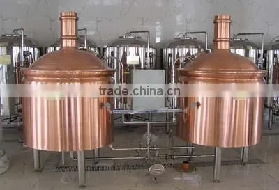 Ruijia 100L 300L 500L Industial Brewing Equipment , Commercial Beer Brewery,mash Tun, Fermenter,beer Keg for Sale photo-2