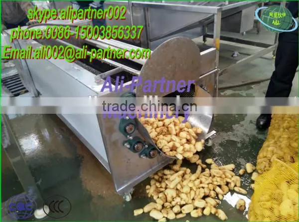 Hot Sale Potato Garlic Cleaning Peeling Machine for Commercial Use photo-2