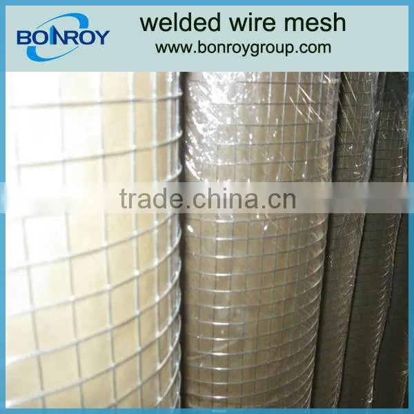 5x5 Welded Wire Mesh