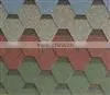Gothic Asphalt Shingle