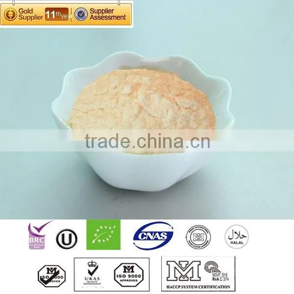 Freeze Dried Apple Juice Powder