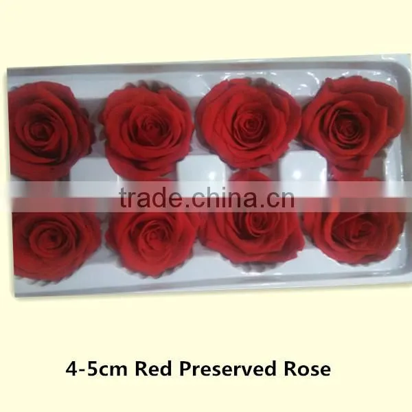 Preserved Flower Last for 3-5 Years Fresh Rose Petals Material