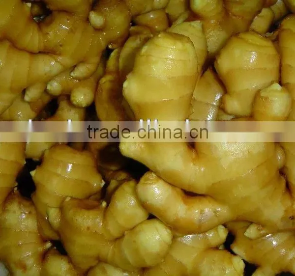 Fresh Organic Ginger Price in China photo-2