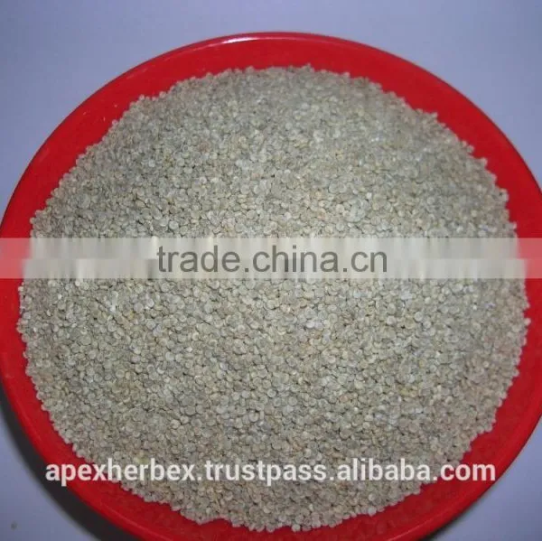 Quinoa Grain / Chenopodium Quinoa / Quinoa Grain /Quinoa Bulk Grain photo-3