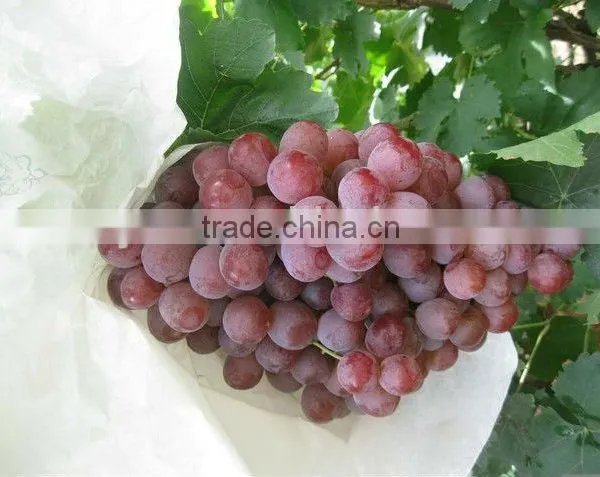 Fresh Red Globe Grapes For Sale