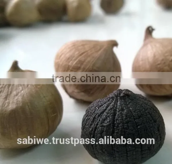 High Quality Single Clove Black Garlic Made in Vietnam photo-5