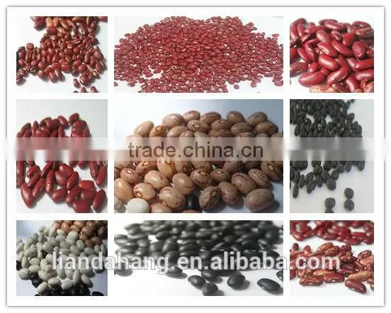 ADZUKI BEAN photo-3