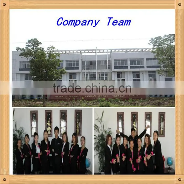 China Best Selling Natural Pine Oil 85% Price for Export photo-5