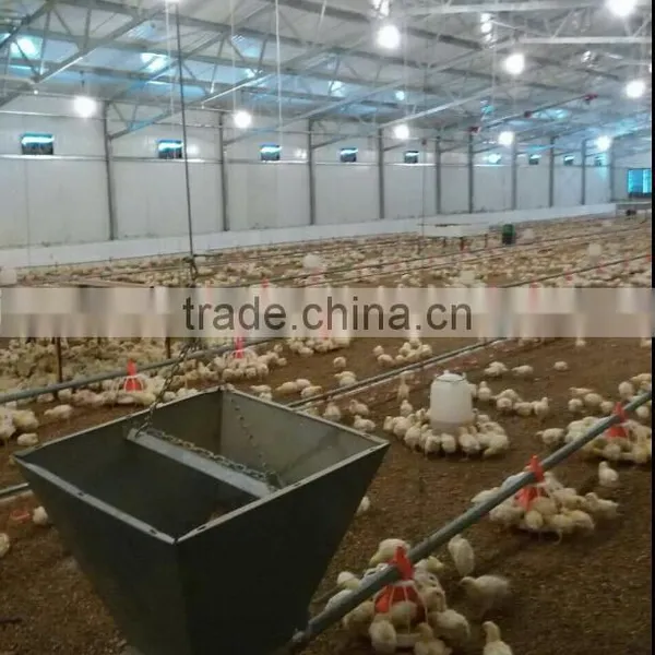 Steel Frame Type and Steel Material Metal Poultry Shed/galvanized Chicken Equipments Shed /chicken House Shed photo-5