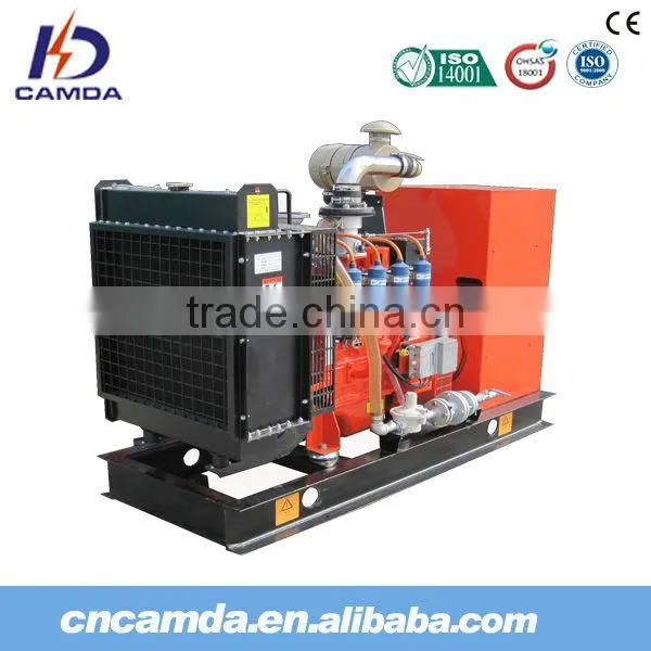Camda Factory Biogas Generator Sets With/without Canopy 250kw Biogas Generator photo-6