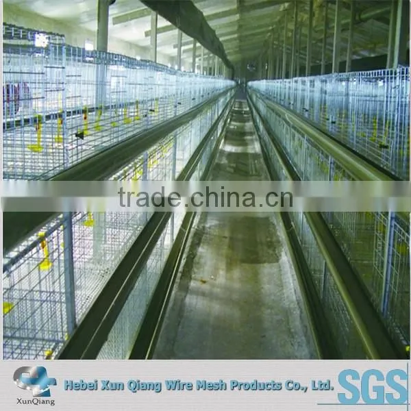 High Quality Automatic Layer Chicken Cages/chicken Egg Layer Cage/egg Layers Cage Design photo-2