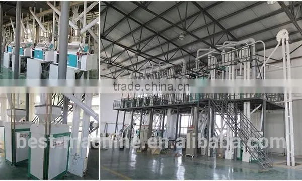 Industrial Corn Mill/corn Flour Making Machine photo-4