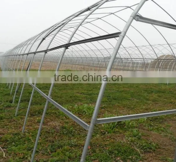 Tunnel Greenhouse photo-2