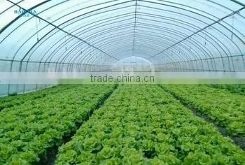 Tunnel Greenhouses With Supporting Systems photo-3