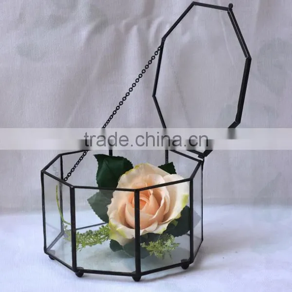 Micro Indoor Deocr Landscape Vase Indoor Plant Glass Terrarium photo-3