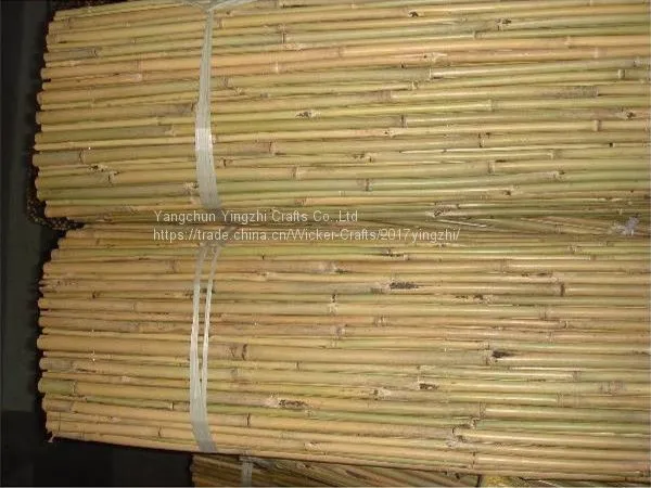 Bamboo Cane,Bamboo Pole,Bamboo Garden Fencing photo-2