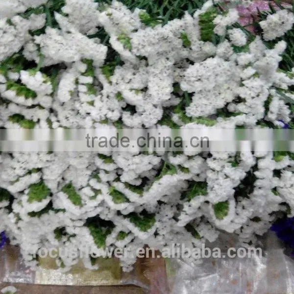 Real Touch Flowers Wholesale Cut Flowers Statice Wedding Flowers photo-5