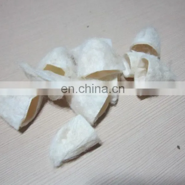 Cocoon photo-6