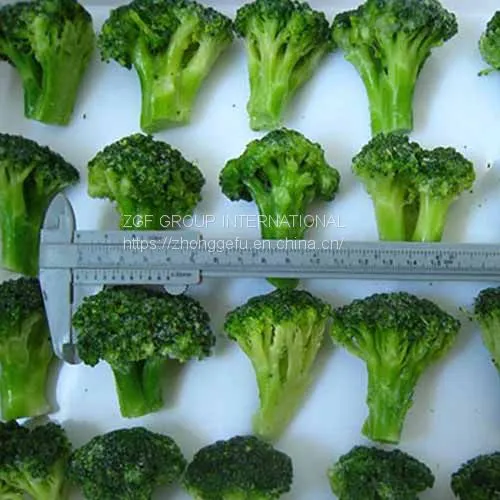 IQF Frozen Broccoli Flower 4-6cm photo-3