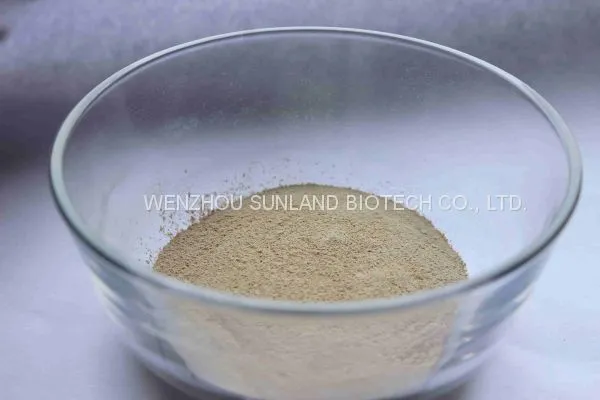 Alpha-Amylase