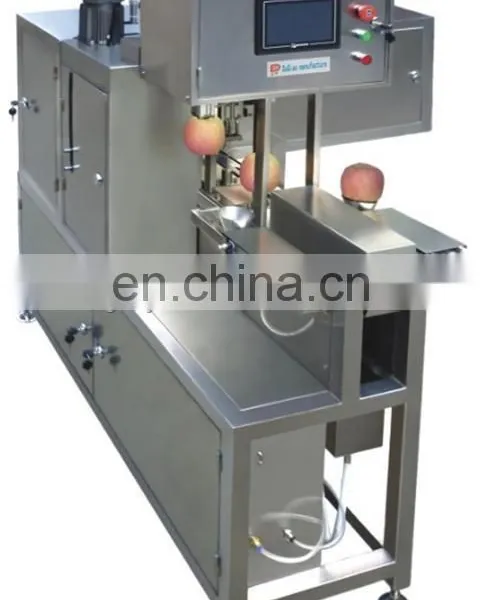 Shanghai Pineapple Peeling Machine photo-4