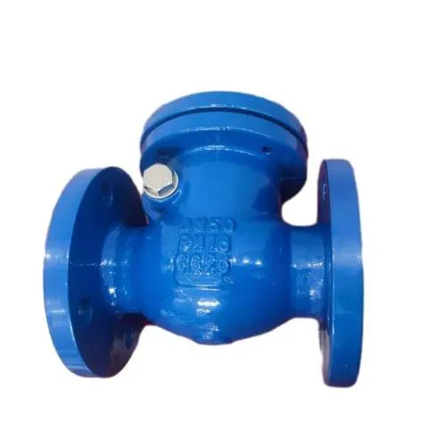 DIN PN16 Duction Cast Iron Body Flang Swing Non Return Check Valve photo-6