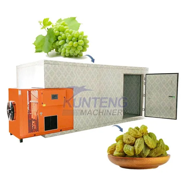 Professional Dehydrator Machine 5 Tpd Fig Apricot Tray Drying Machine Grape Raisin Cherry Drying Room Fruit Dryer EPC