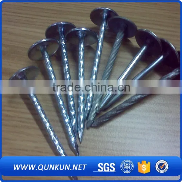Umbrella Galvanized Twist Shank Roofing Nails photo-5