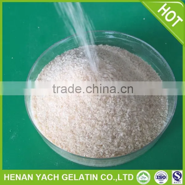 Edible Gelatin Sheets