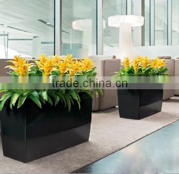 Soft Touch Leaves Artificial Rohdea Plant photo-4