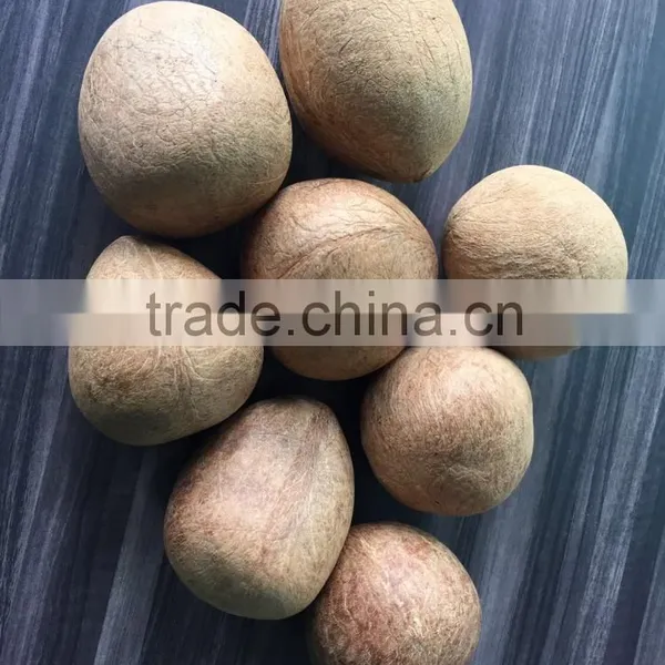 Dried Coconut Meat Ball Copra From India photo-3