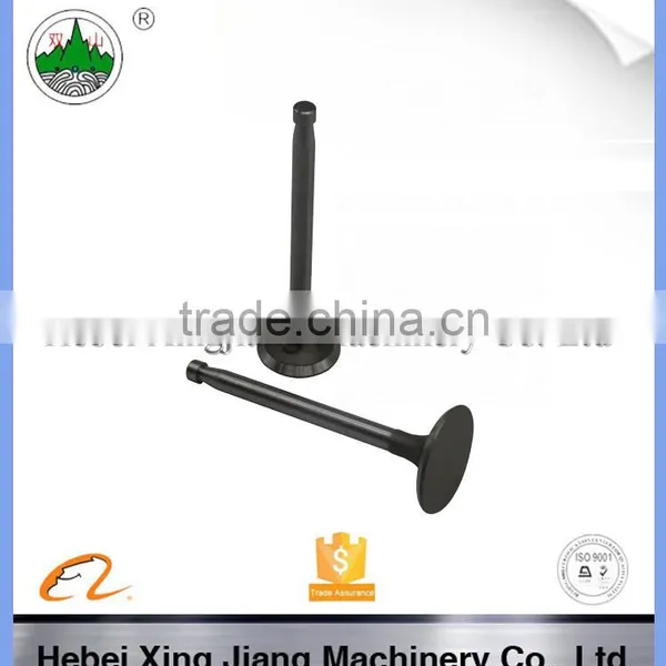 Finest Valve Assembly for Diesel Engine photo-3