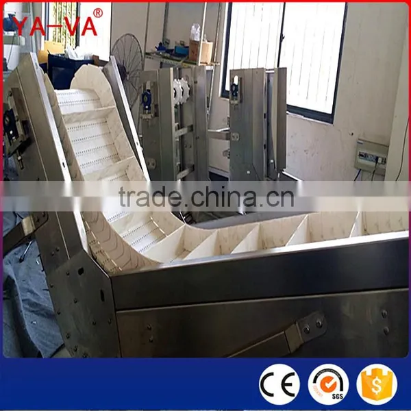 Food Industry Conveyor From China Manufacturer photo-2