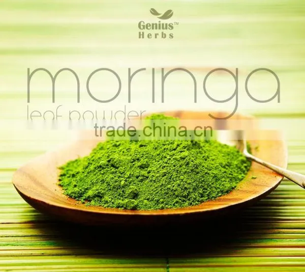 Healthy Moringa Leaf Powder Manufacturer