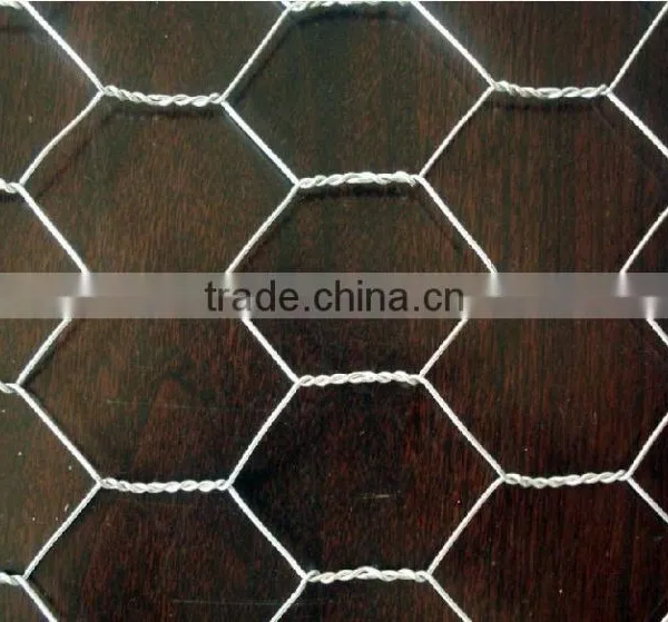 Best Price Electro Galvanized Hexagonal Wire Mesh photo-6