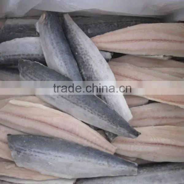 Frozen Spanish Mackerel Fillet for Sale.