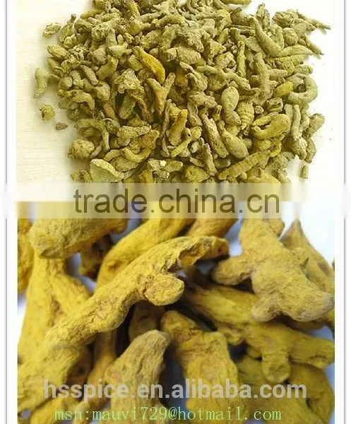 Dry Turmeric Finger photo-2