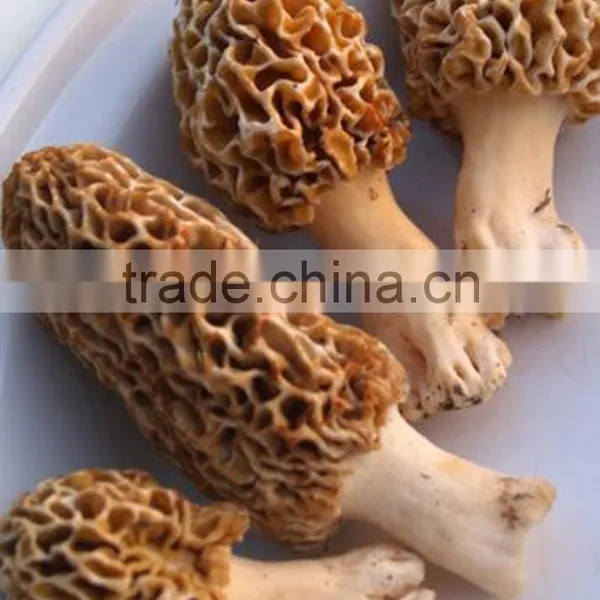 Shanghai Detan Affordable Dried Morel Mushrooms photo-5