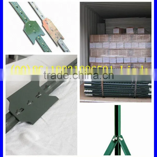 Cheap Fence t Posts ( Factory & Exporter ) photo-3