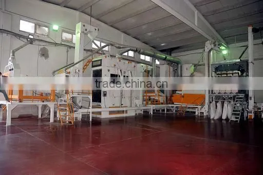 COMPLETE SUNFLOWER CLEANING AND PROCESSING LINE